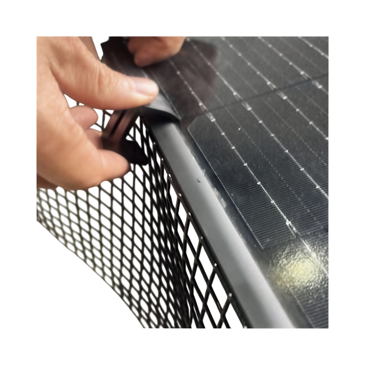 Fastensol Bird Protection Mesh and Clips Black, 30m
