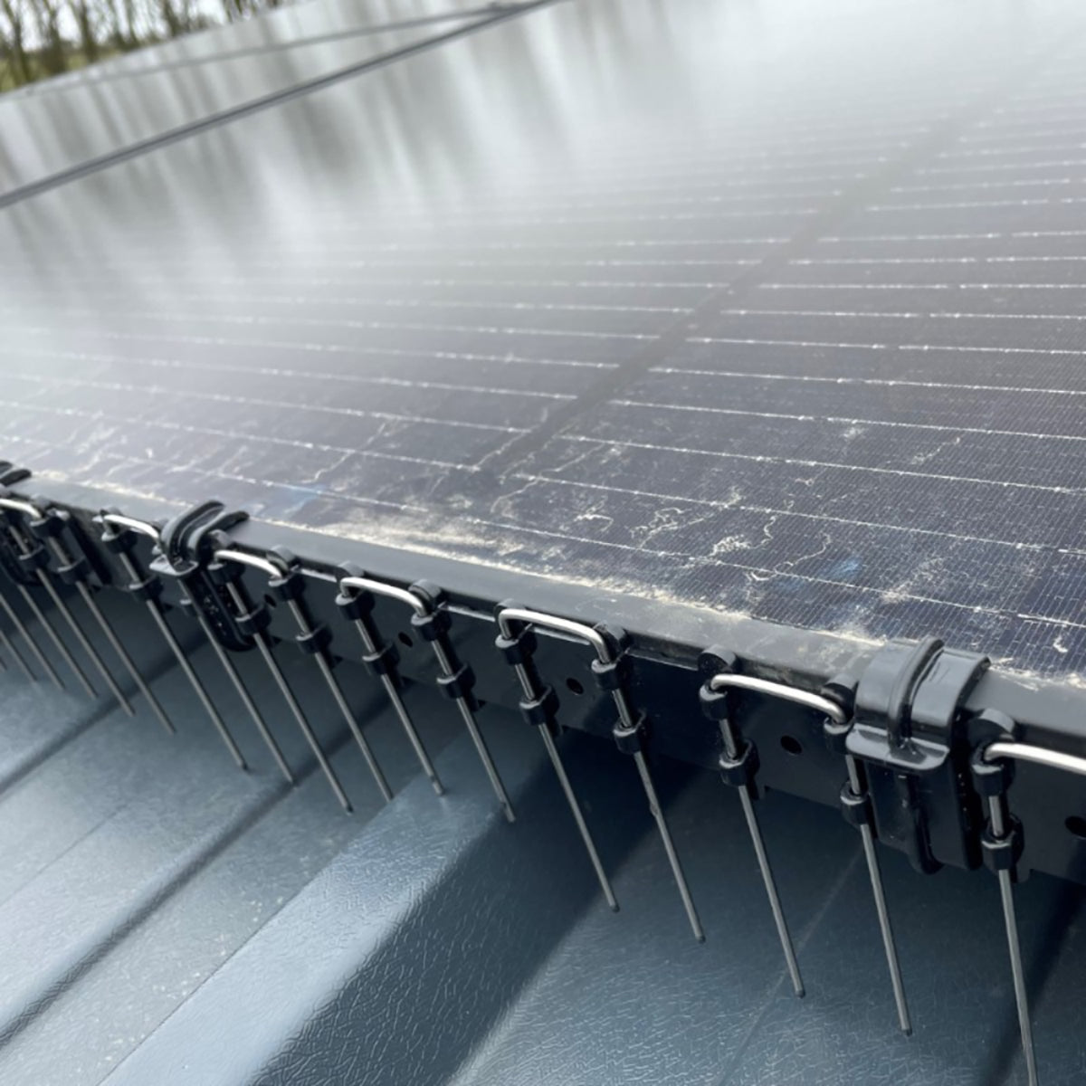 EnviroGuard Solar Panel Spikes 130mm Adjustable (Pack of 50)