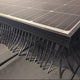 BirdBlocker BB125evo Reinforced BirdBlocker for Solar Panels 30m